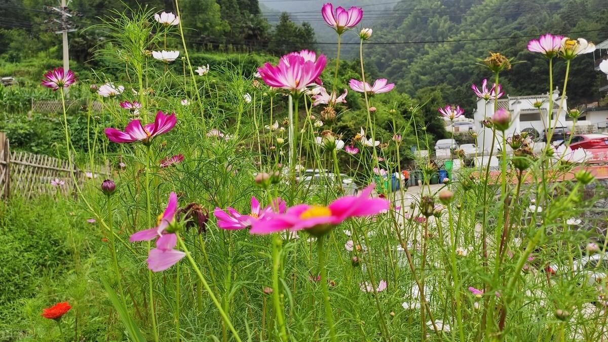 中國最宜居的小縣城(中國最適合養(yǎng)老的十個城市)