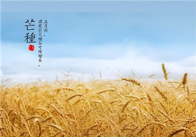 芒種的說(shuō)說(shuō)文案「精選29句推薦」