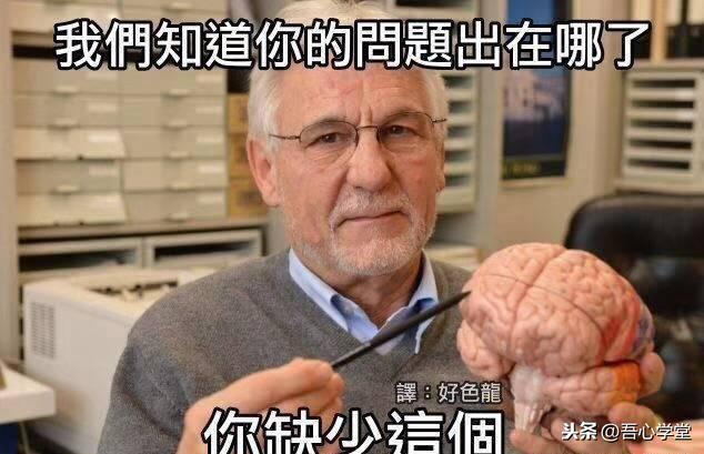 歐拉數學家有多厲害(歐拉在數學方面的成就)