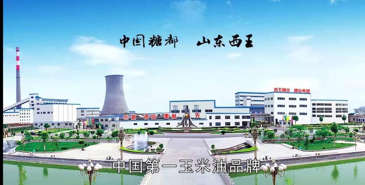 中國最富有的六個村子(中國這六個村富可敵國)