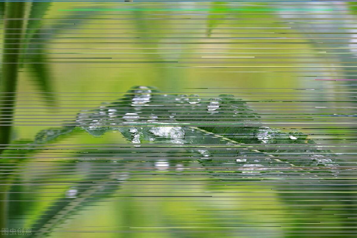 抖音上最火的下雨說說精選「27句推薦」