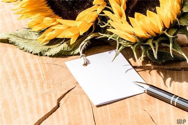 心存感恩學會感恩的經典語句：懂得感恩的正能量句子