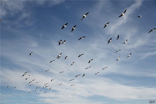 簡單干凈的勵志句子：人生態度的勵志語錄「精選94句推薦」