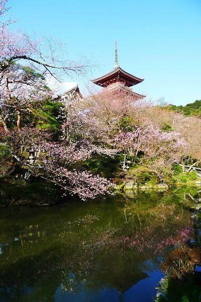 京都五大寺院分別叫什么？(足利義滿)