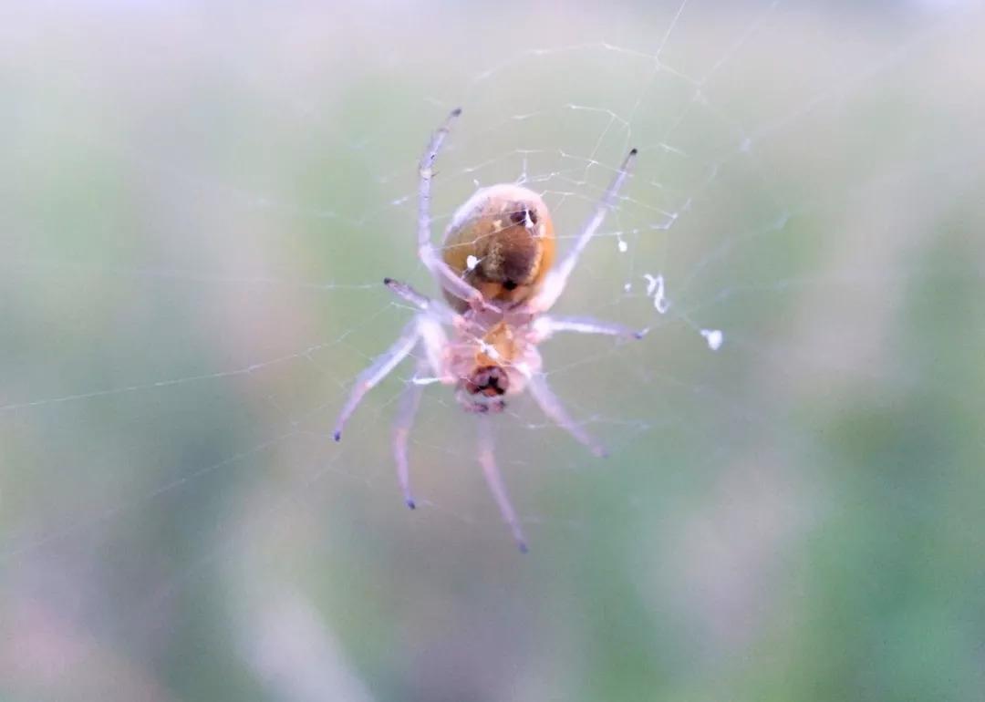 我的奇思妙想作文300字精選10篇:我的奇思妙想簡短范文10篇【強烈推薦】