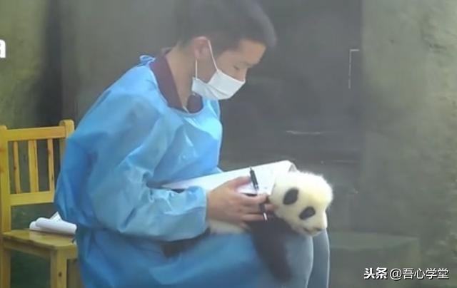 歐拉數學家有多厲害(歐拉在數學方面的成就)