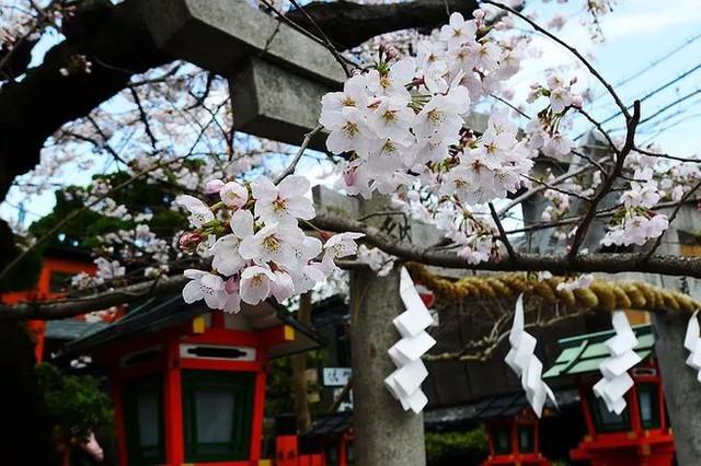 京都五大寺院分別叫什么？(足利義滿)