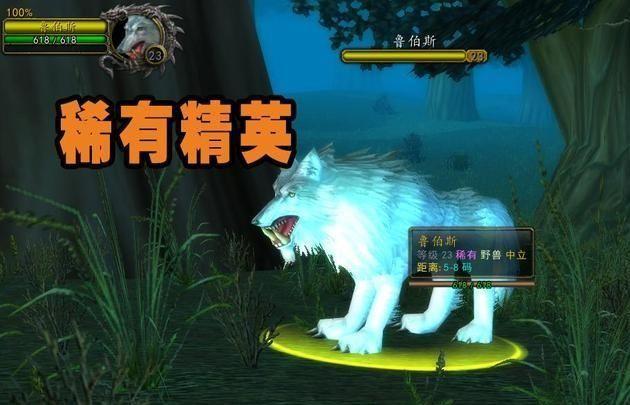 魔獸世界獵人寵物大全「最新正式服獵人寶寶大全帶圖」
