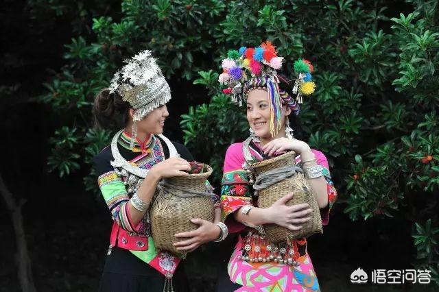 中國楊梅哪里的最有名(什么品種楊梅最好吃)