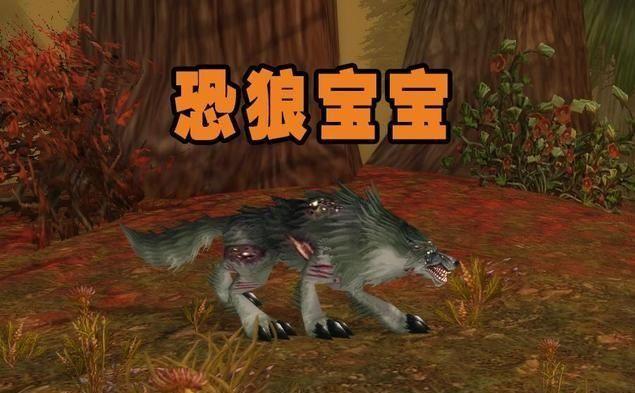 魔獸世界獵人寵物大全「最新正式服獵人寶寶大全帶圖」