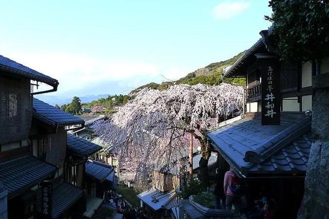 京都五大寺院分別叫什么？(足利義滿)