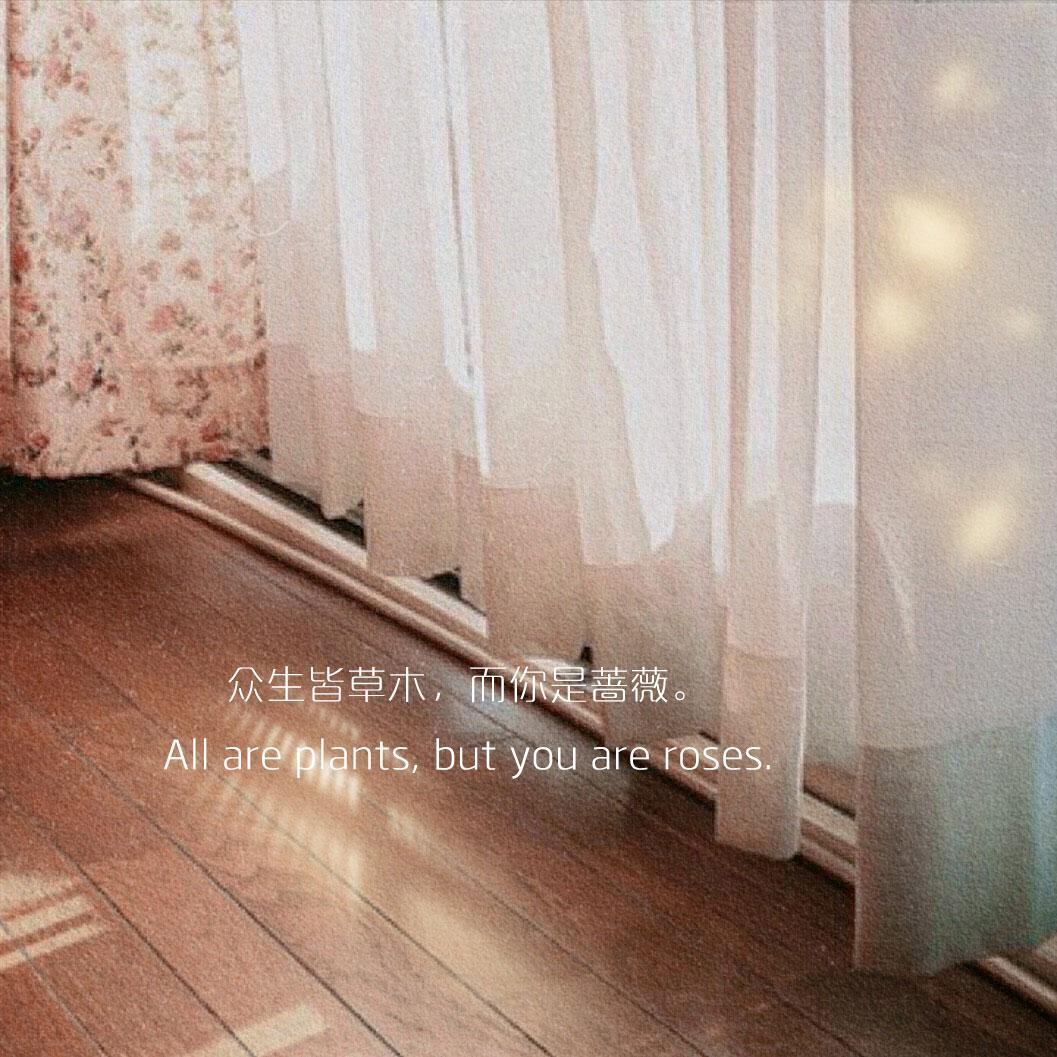 閨蜜留言暖心話簡短,對閨蜜說的話簡短溫暖