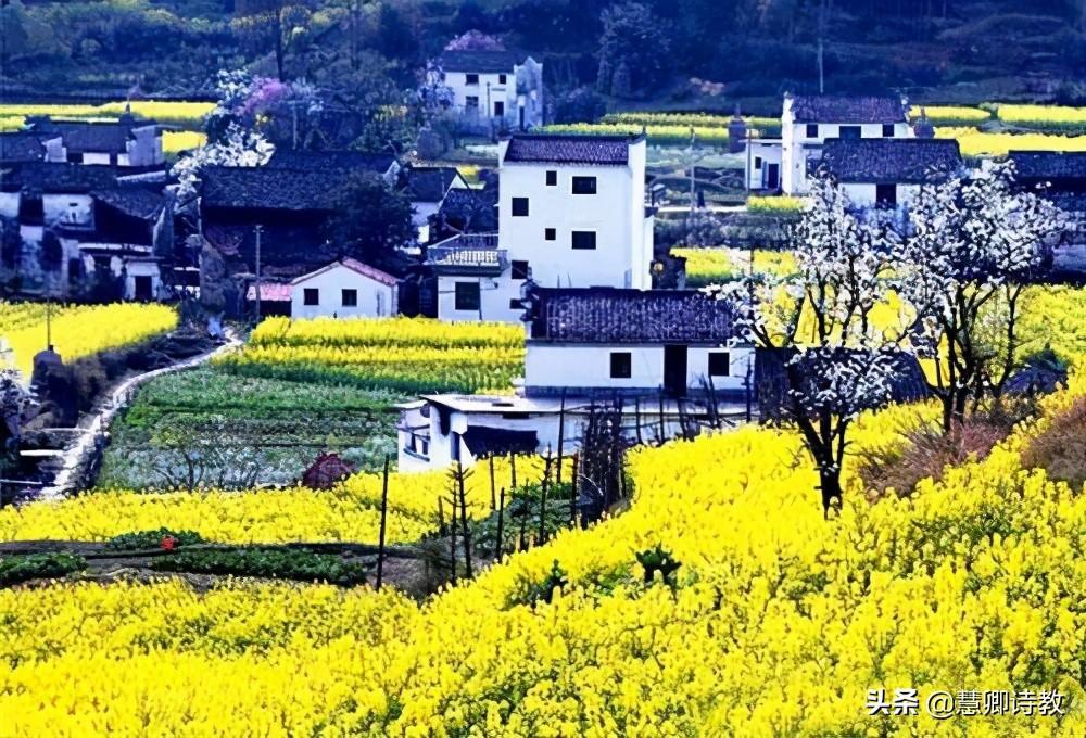 2022年清明節踏青精彩作文600字五篇【最新推薦】