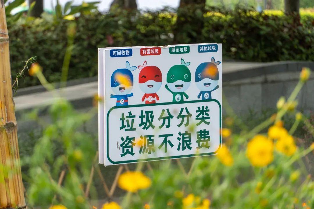 珠海休閑度假好去處(珠海拍照休閑兩不誤的最美街角)