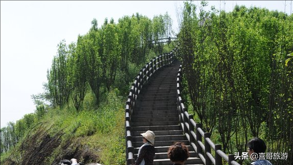 重慶主城好玩的地方排名榜(重慶巴南一日游必去的地方)