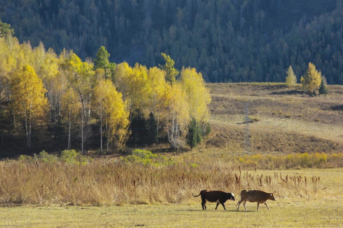 中國最偏僻的城市是哪個(中國最偏僻的城市具體位置在哪)
