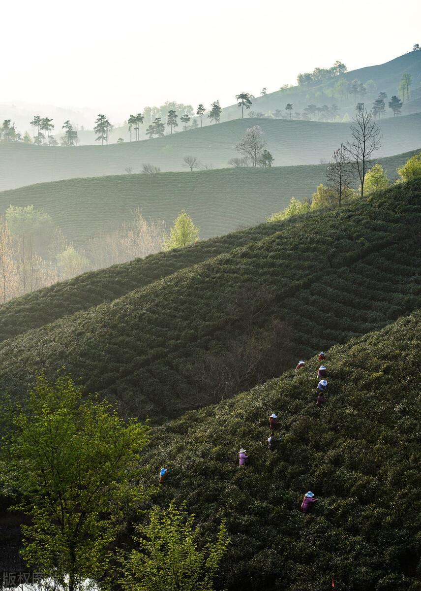 中國最涼快的十大城市(中國最涼爽的城市排名)