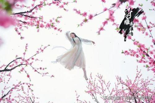 東邪黃藥師究竟會(huì)多少種武功?(秦南琴)