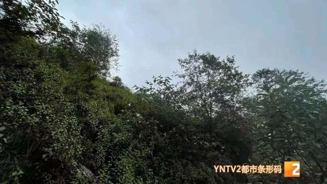 遇難地質人員進山為何穿一次性雨衣，初步判斷遇難原因最大可能是失溫