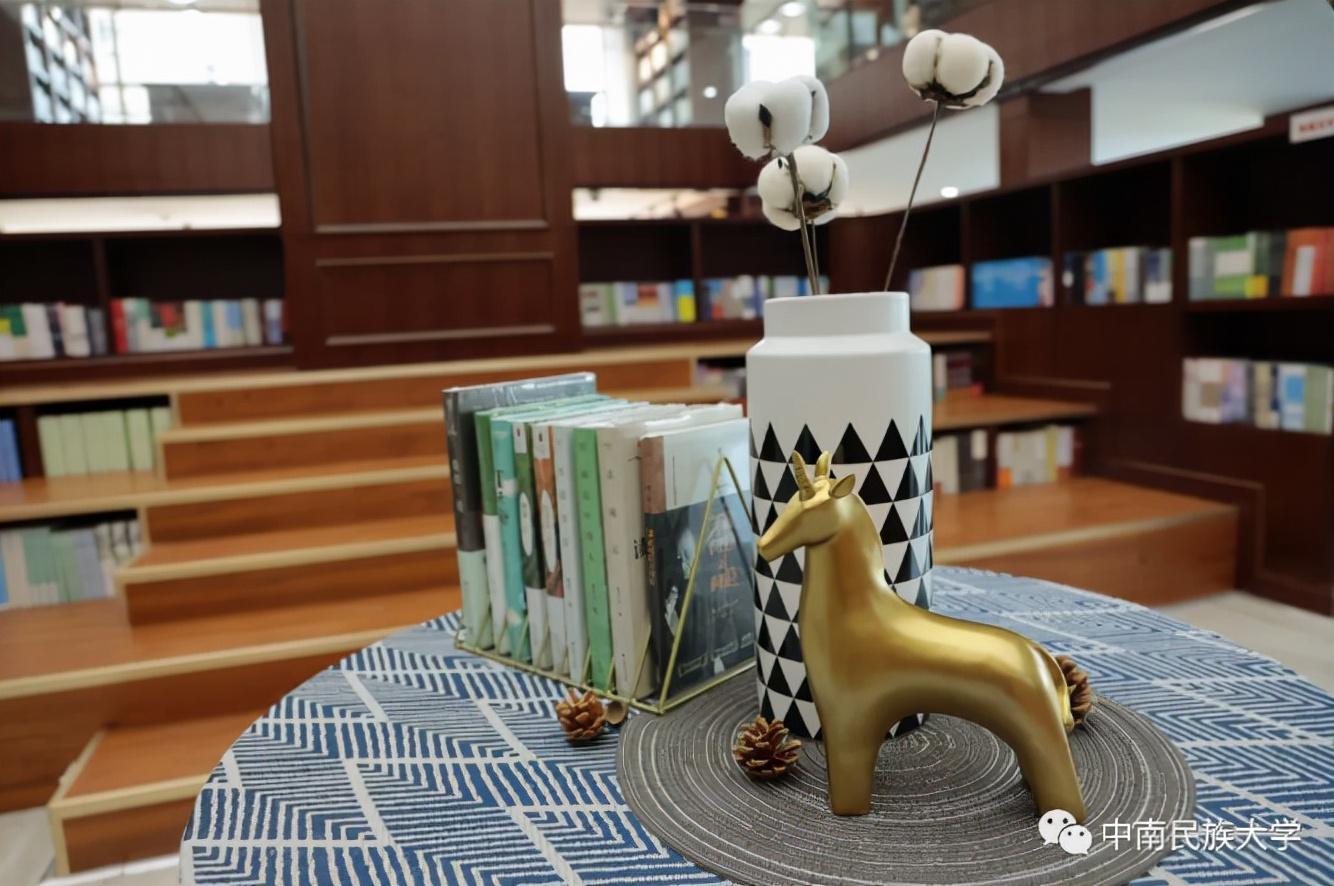 中南民族大學圖書館(中南民族大學校內雙子塔圖書館)