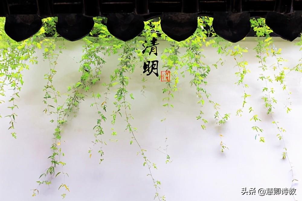 2022年清明節踏青精彩作文600字五篇【最新推薦】