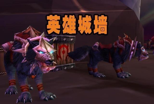 魔獸世界獵人寵物大全「最新正式服獵人寶寶大全帶圖」