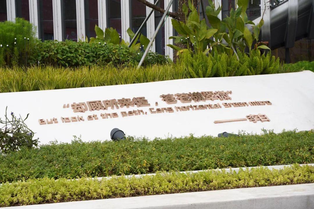 珠海休閑度假好去處(珠海拍照休閑兩不誤的最美街角)
