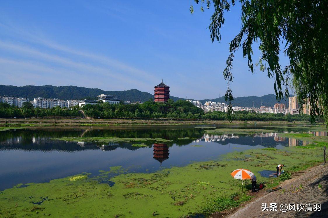 珠海宜居城市排名(廣東省最宜居的城市)