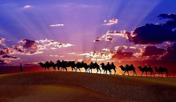 中國有什么特產(全國各地著名特產一覽表)