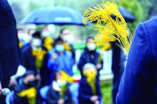 世界糧食日網友想念袁爺爺了,懷念袁老一粥一飯當思來之不易