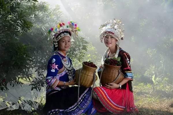 中國楊梅哪里的最有名(什么品種楊梅最好吃)