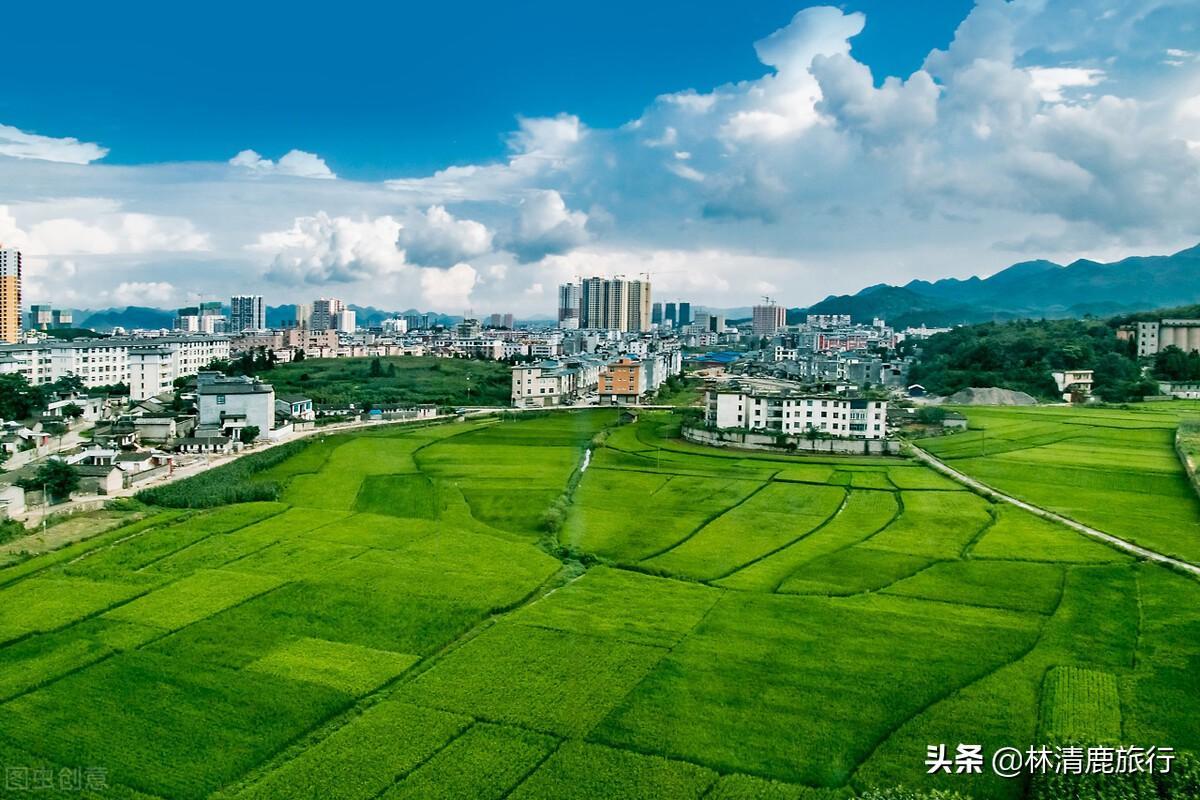 中國(guó)夏天最涼快的城市是哪里(中國(guó)最適合避暑的城市排名)