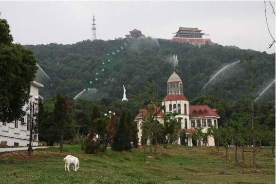 中國十大富裕村排名2021(中國哪個村最富裕)