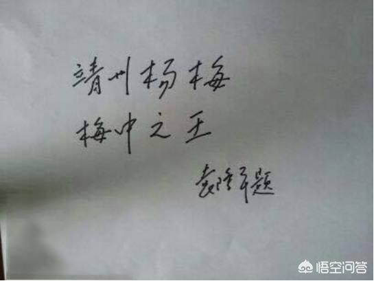 中國楊梅哪里的最有名(什么品種楊梅最好吃)