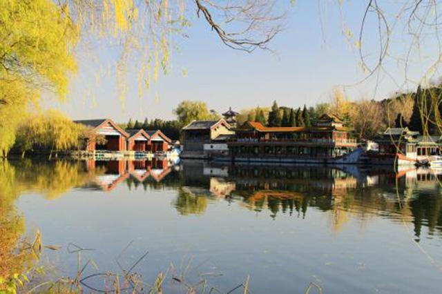 陳麗華家族(陳麗華老師是誰的后代)