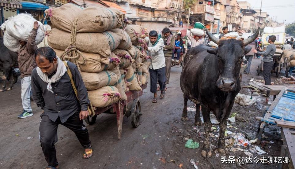 中國最亂的城市排行榜(哪個城市最臟亂)
