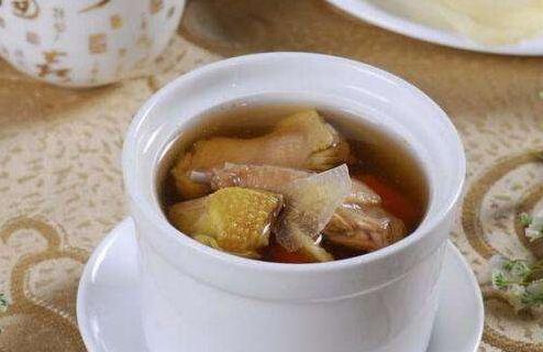 進補乳鴿好還是老鴿子好？(和平鴿的創作者是)