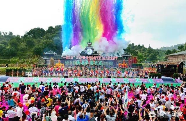 中國楊梅哪里的最有名(什么品種楊梅最好吃)