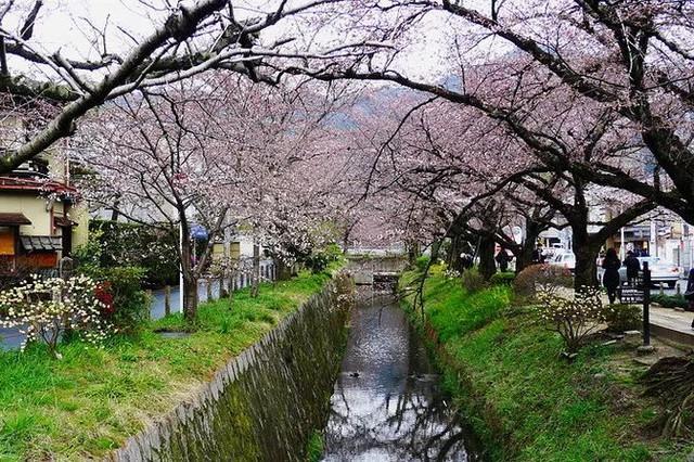 京都五大寺院分別叫什么？(足利義滿)