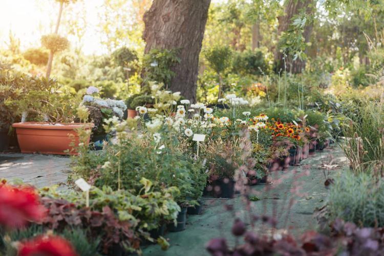 中國人口最多的十個(gè)縣排行（中國人口大縣城）