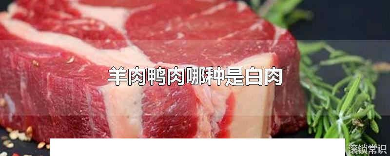羊肉鴨肉哪種是白肉 魚肉外皮那層紅肉是什么