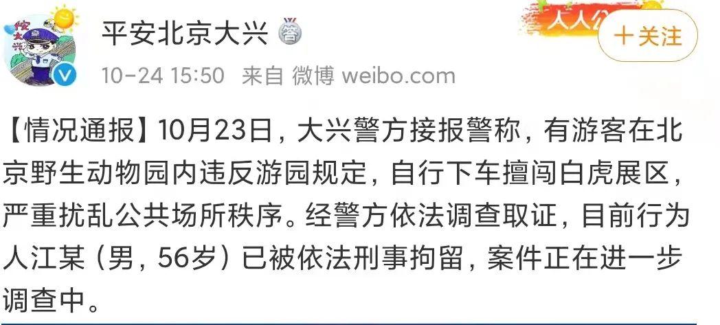 游客沖到7只白虎面前警方未受傷，園方正在調查