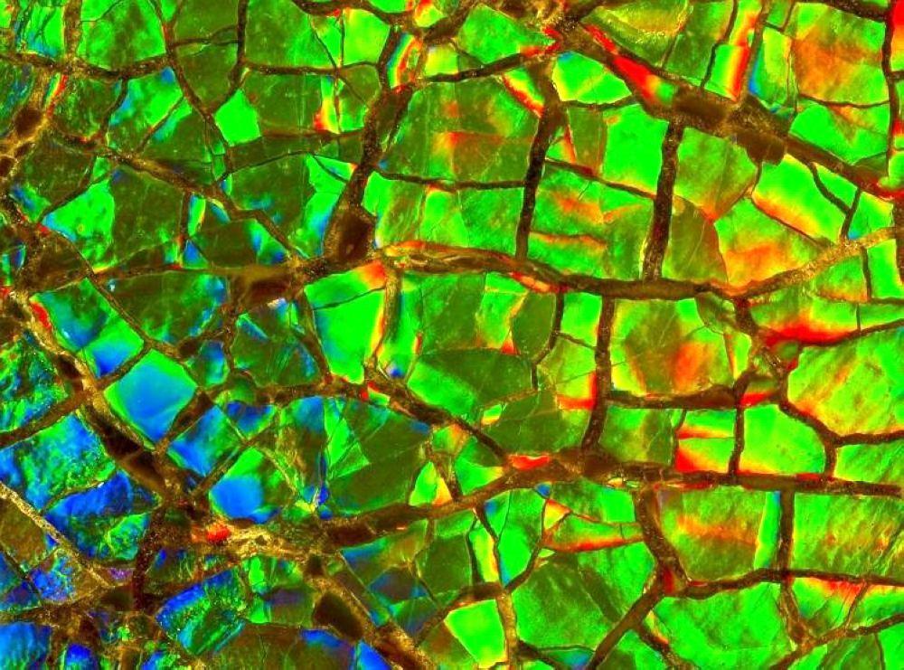 我的奇思妙想作文300字精選10篇:我的奇思妙想簡短范文10篇【強烈推薦】