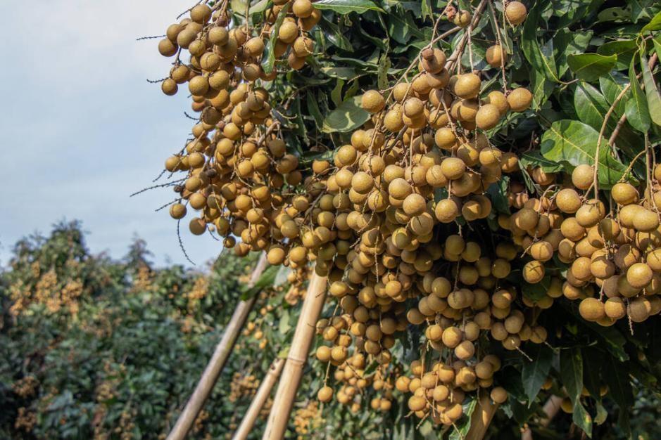 中國人口最多的十個(gè)縣排行（中國人口大縣城）