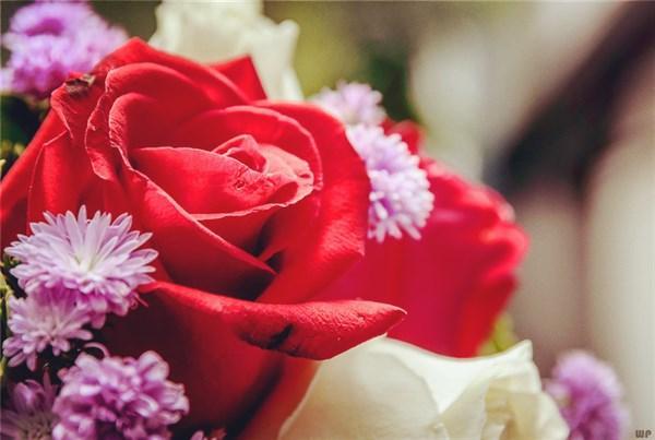 心存感恩學會感恩的經典語句：懂得感恩的正能量句子