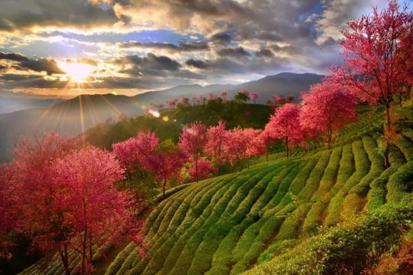 2022簡單的美麗作文5篇【強烈推薦】