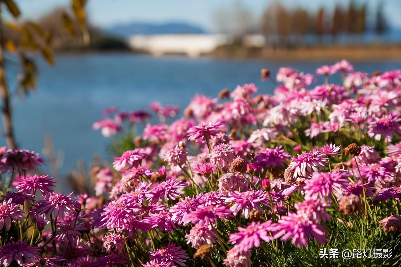 中國最涼爽城市排名(中國現(xiàn)在哪個城市最涼快)