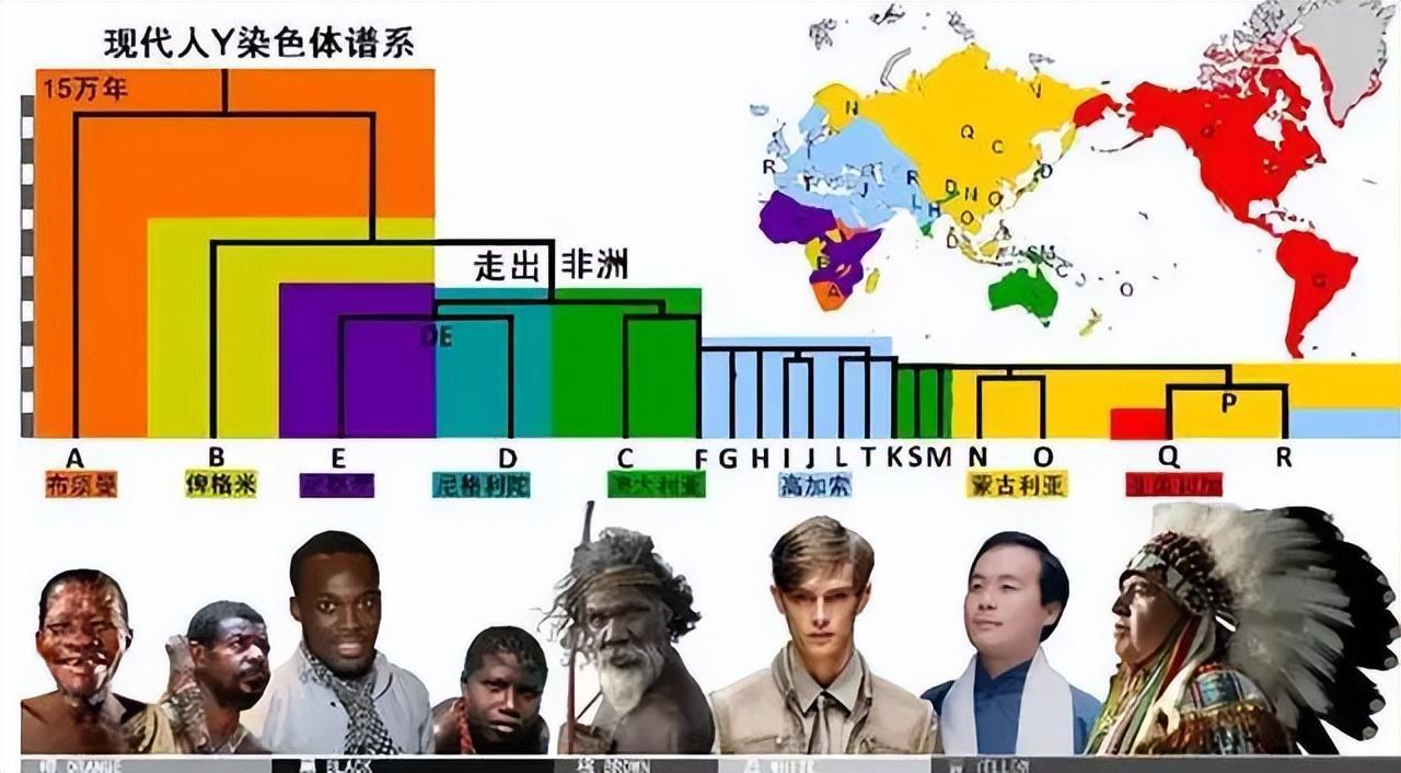 非洲人和歐洲人有哪些區(qū)別