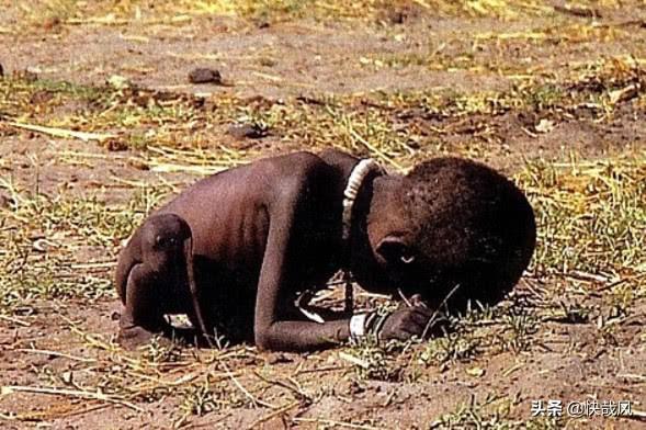 卡特是個好人(凱文卡特是好人嗎)