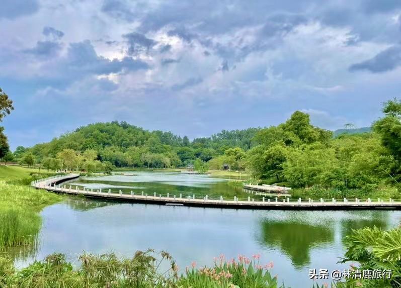 中國(guó)夏天最涼快的城市是哪里(中國(guó)最適合避暑的城市排名)